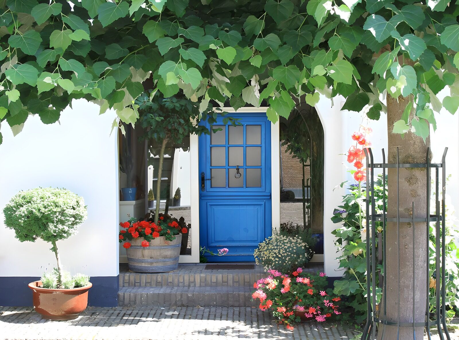 PDGIT4135077: Porta blu tra vasi e fiori