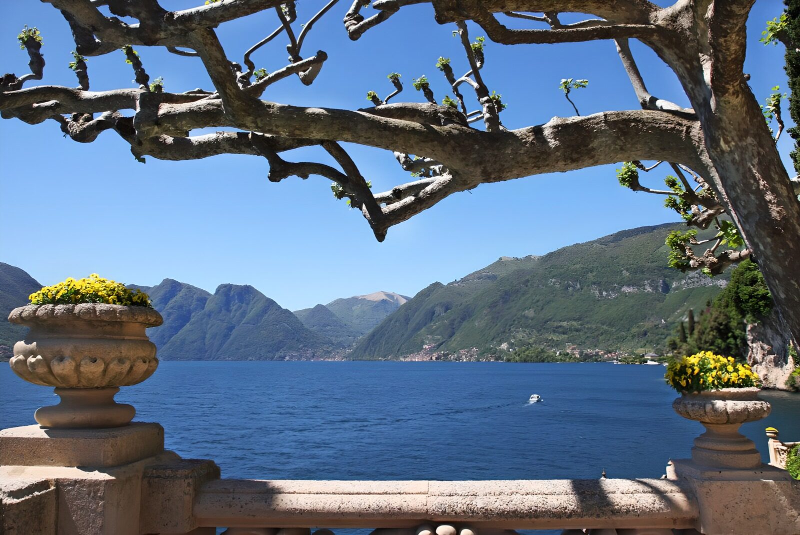 PDGIT1036099: Terrazza sul lago con fiori gialli