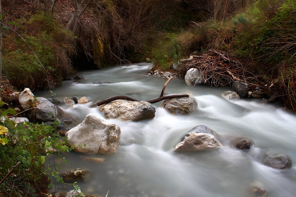 PDGIT6498367: Ruscello tra le rocce del bosco