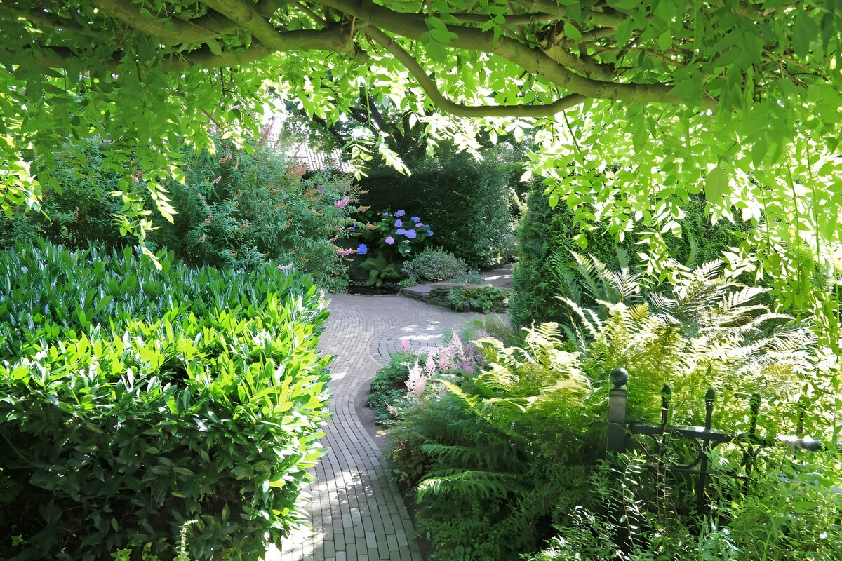 Vialetto di mattoni nel verde fitto