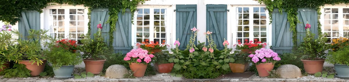 PDGIT2390449: Facciata bianca tra vasi e fiori