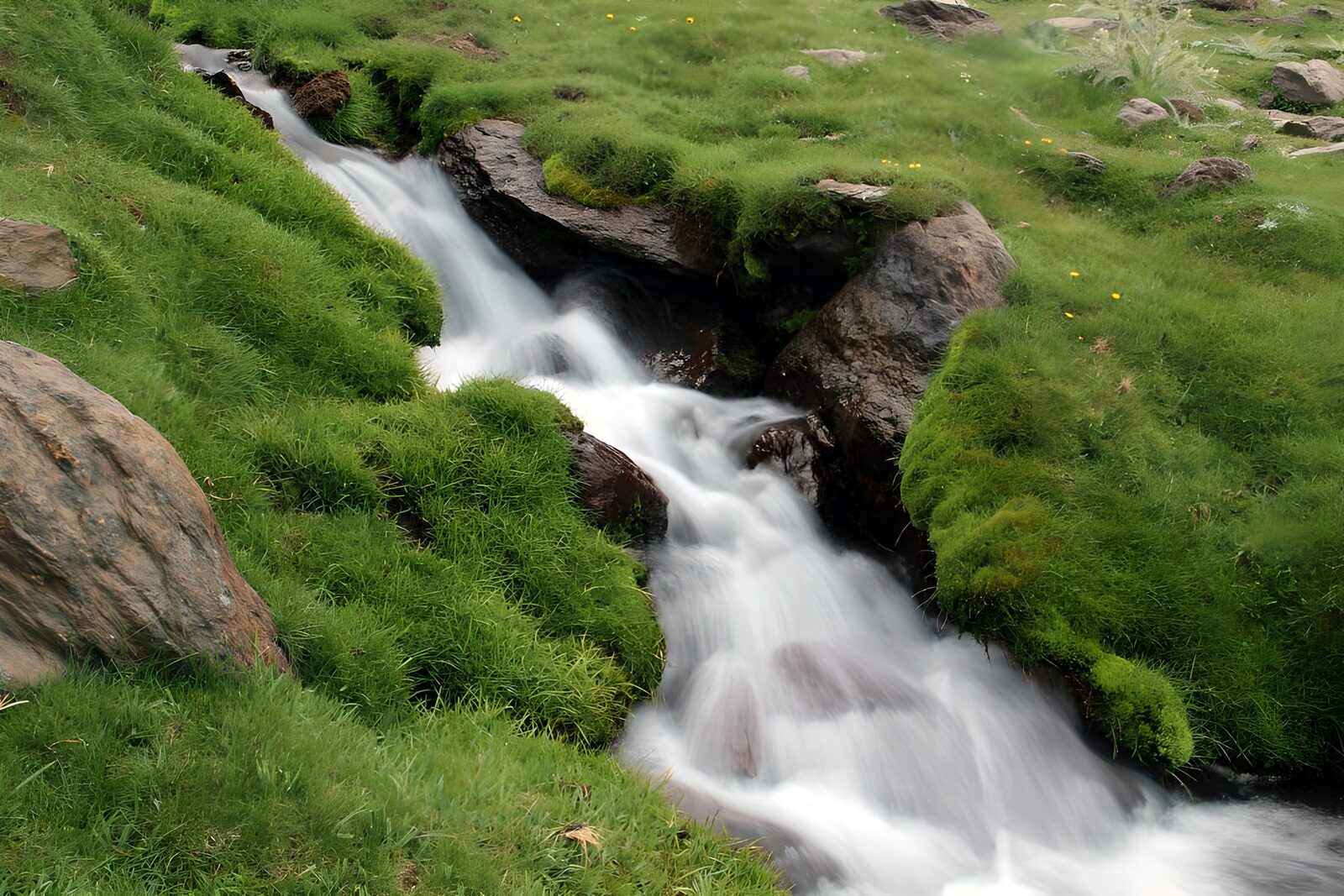PDGIT2883084: Ruscello tra rocce ed erba verde