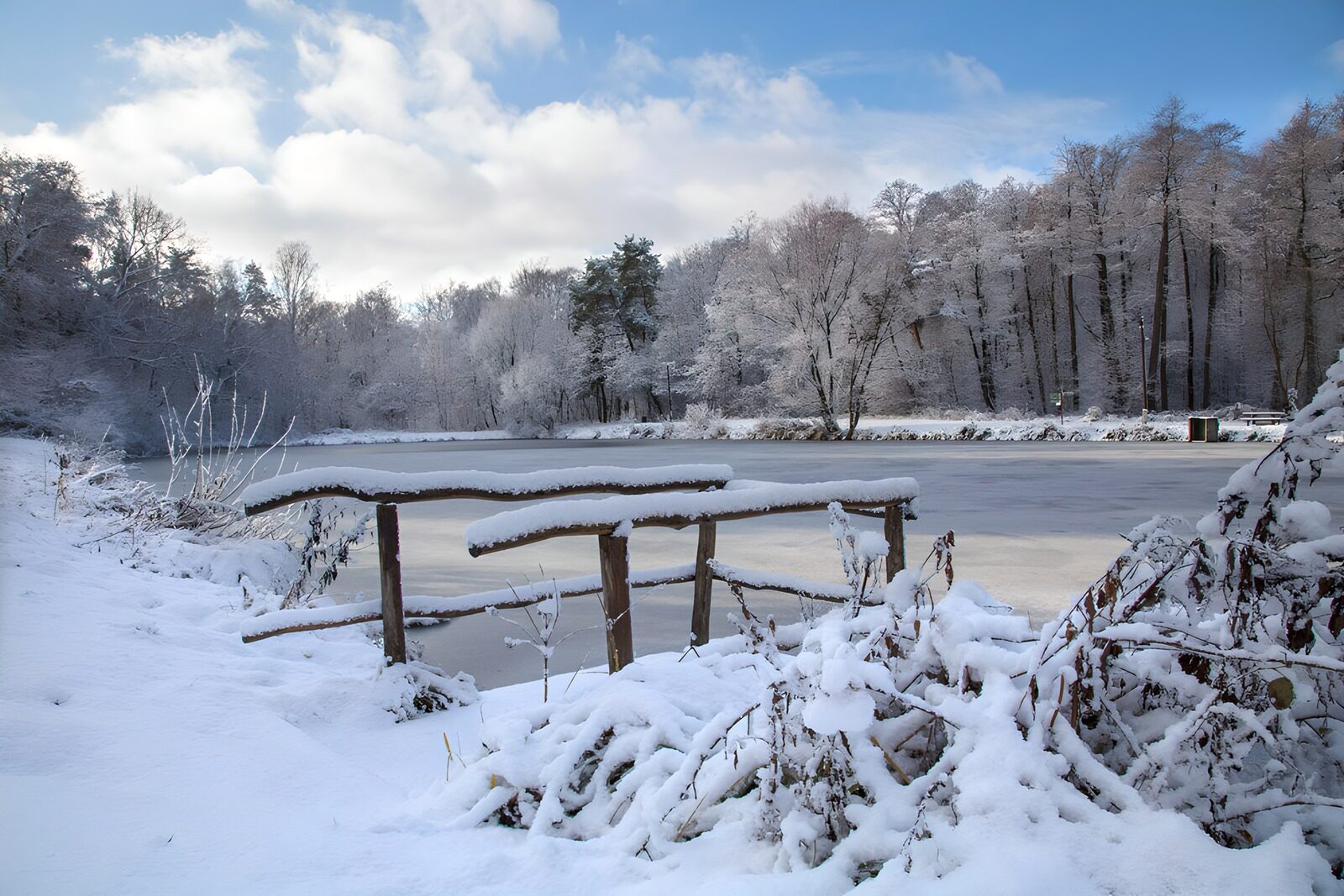 PDGIT5836150: Stagno ghiacciato e ringhiere sotto la neve