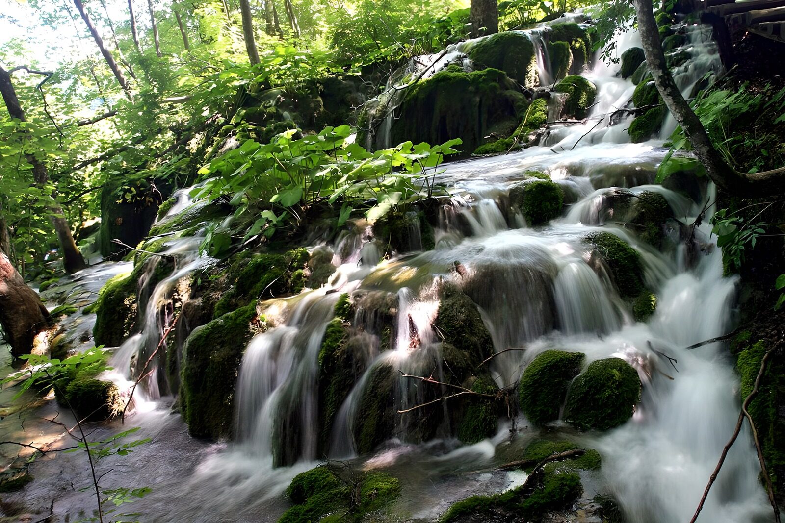 PDGIT9723667: Cascata sul muschio, tra luce e ombra