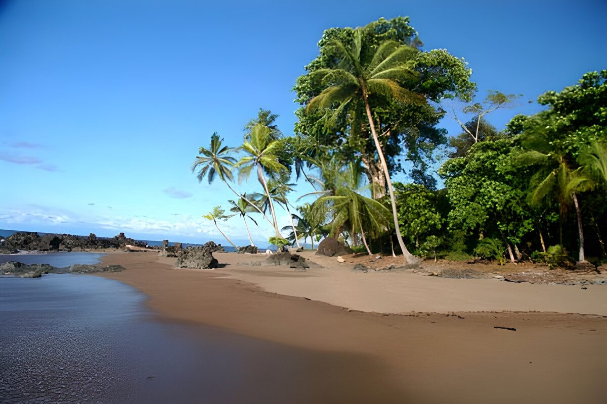 PDGIT4322041: Spiaggia tropicale tra palme e rocce