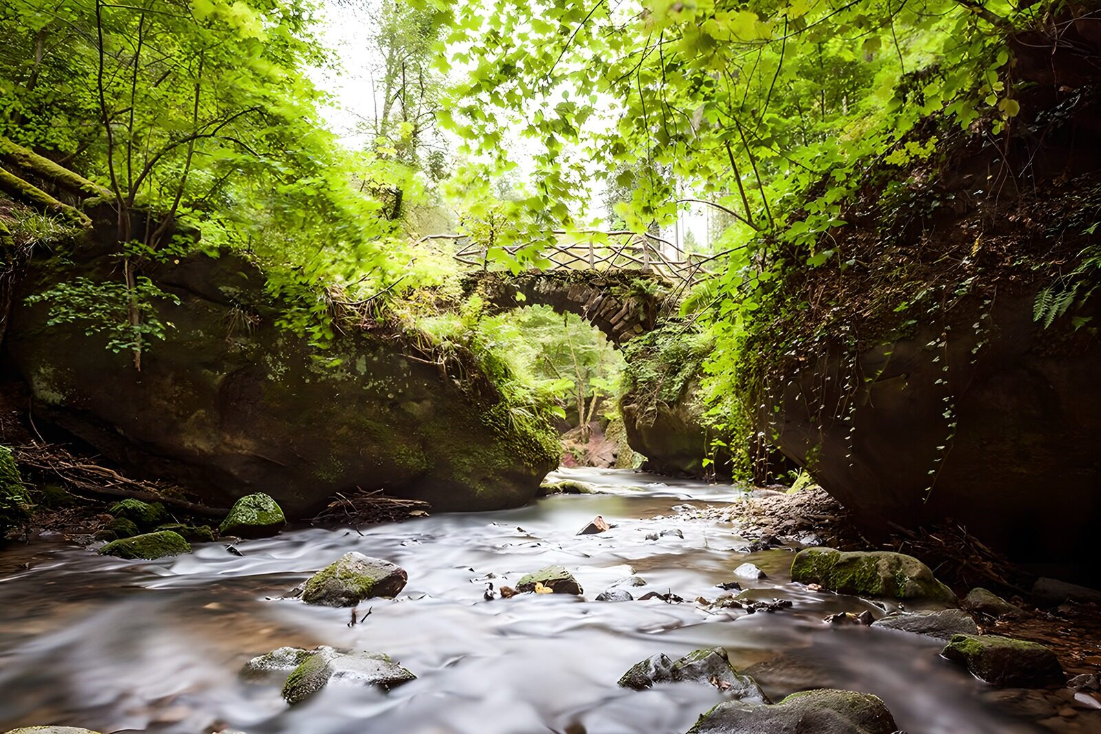 PDGIT8507892: Ponte in pietra sul ruscello nel bosco