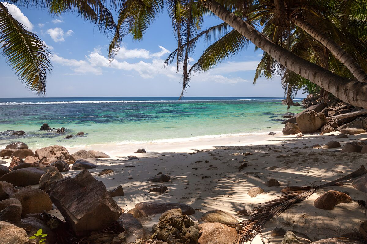 PDGIT7322625: Sulla costa tropicale, tra sole e ombra