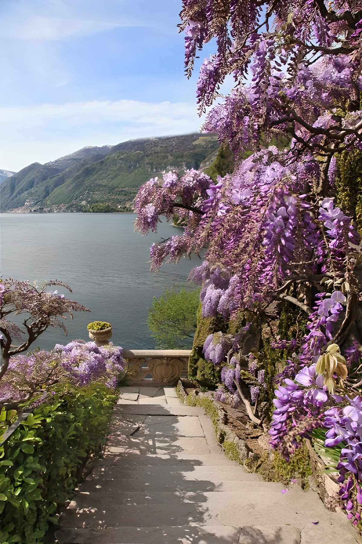 PDGIT2879615: Scalinata al sole tra glicini e lago