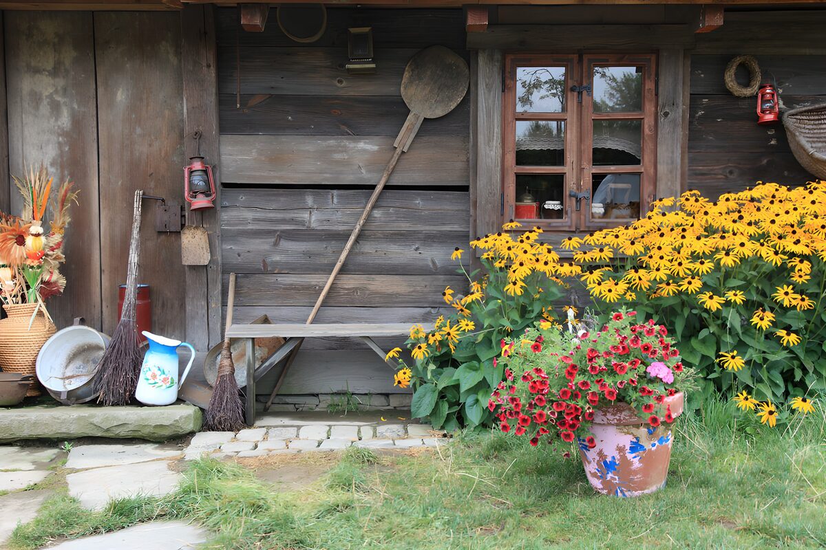 PDGIT7043863: Fiori e legno in un giardino rustico
