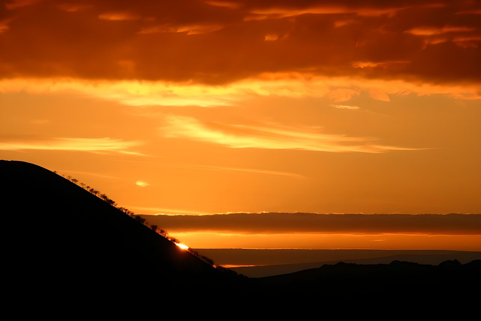 PDGIT9328690: Tramonto dorato dietro la collina