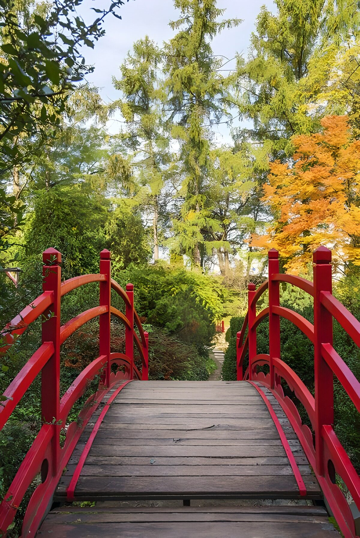 PDGIT1657413: Ponte rosso in un giardino d’autunno