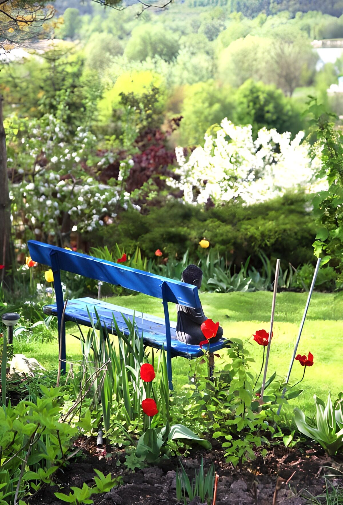 PDGIT4774854: La primavera sosta sulla panchina blu