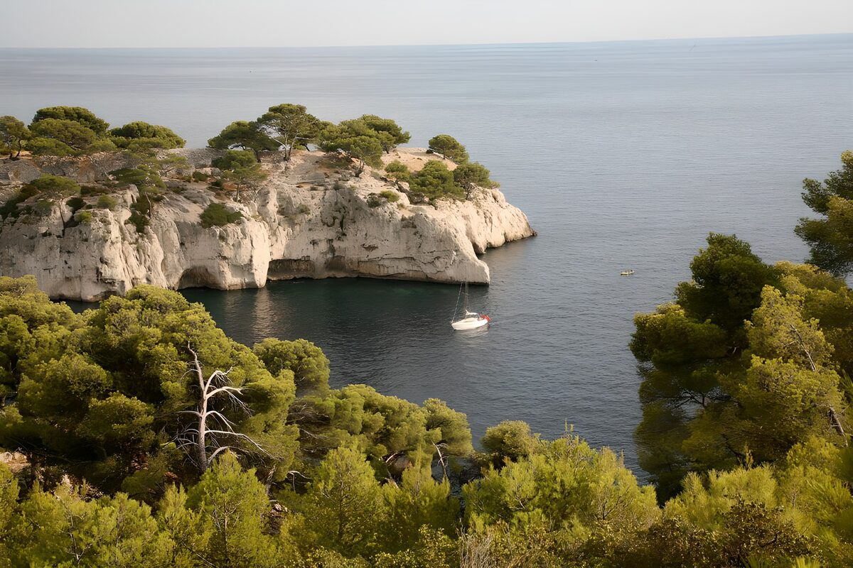 PDGIT6289865: Baia con pini, scogliere e barca a vela