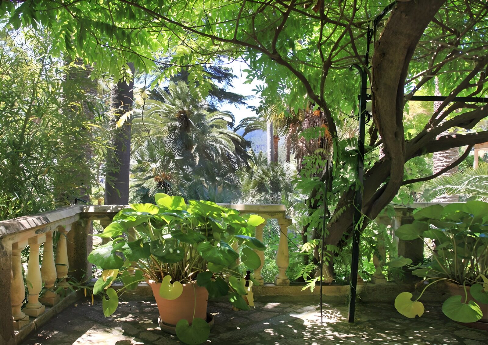 PDGIT6599988: Terrazza verde con balaustra in pietra