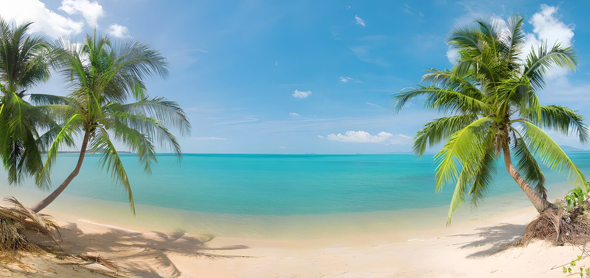 PDGIT5772662: Spiaggia tropicale tra palme e mare calmo