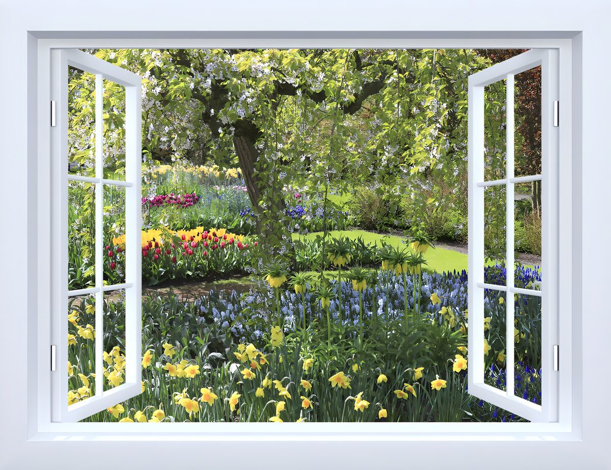 Finestra aperta sul giardino in fiore