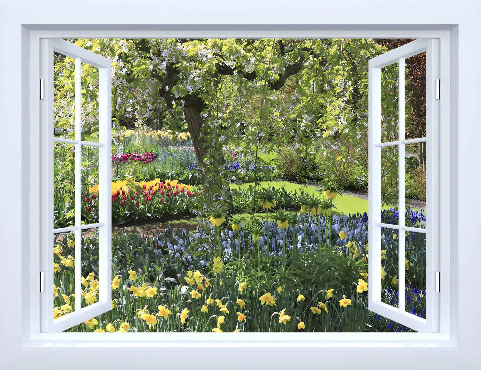 PDGIT7503087: Finestra aperta sul giardino in fiore