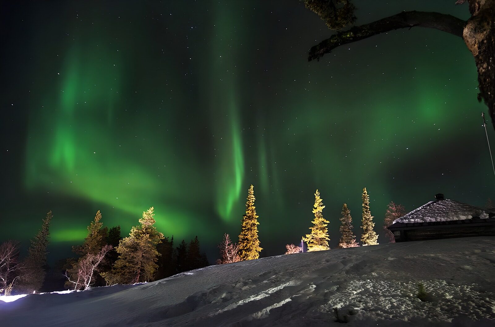 PDGIT2254279: Sipari di luce verde sulla neve