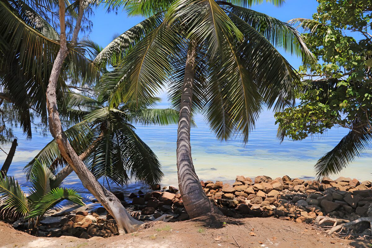 PDGIT6776421: Palme e rocce sul mare turchese