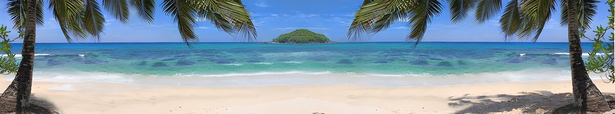 PDGIT4628861: Spiaggia tropicale tra palme e onde