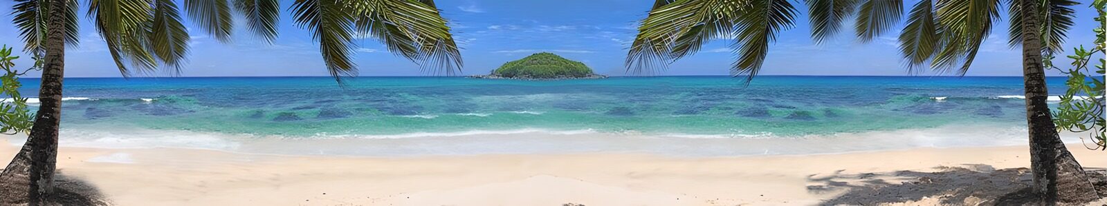 PDGIT4628861: Spiaggia tropicale tra palme e onde