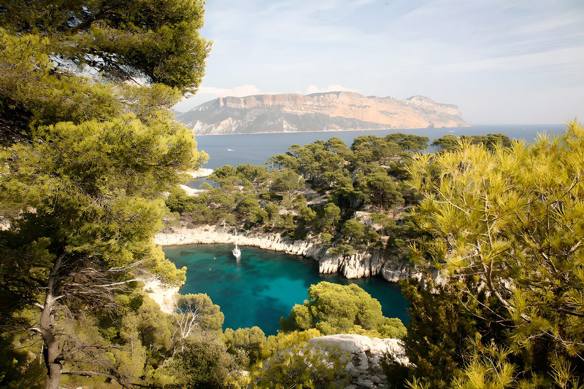 PDGIT9153765: Cala turchese tra pini e rocce chiare
