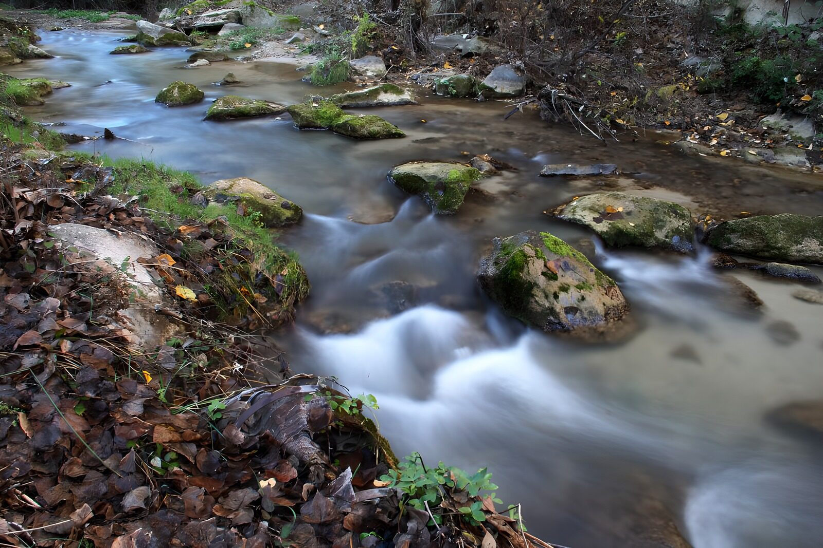 PDGIT6117143: Acqua di seta nel silenzio del bosco