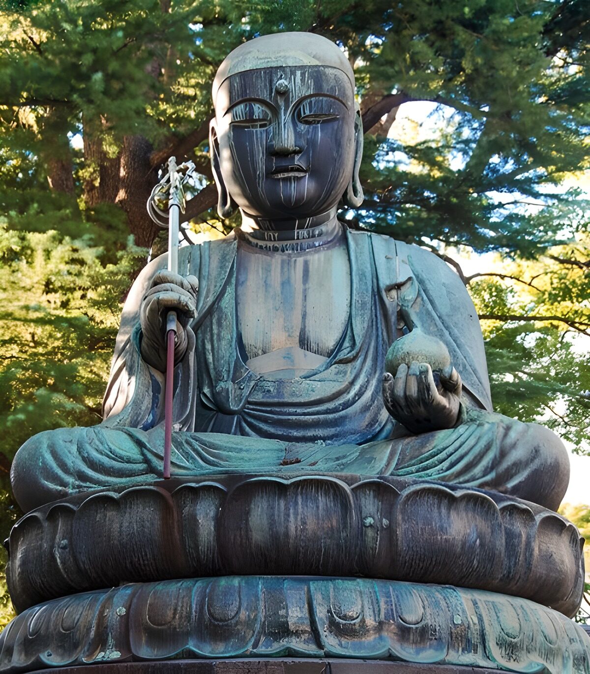 Buddha seduto sul loto tra gli alberi