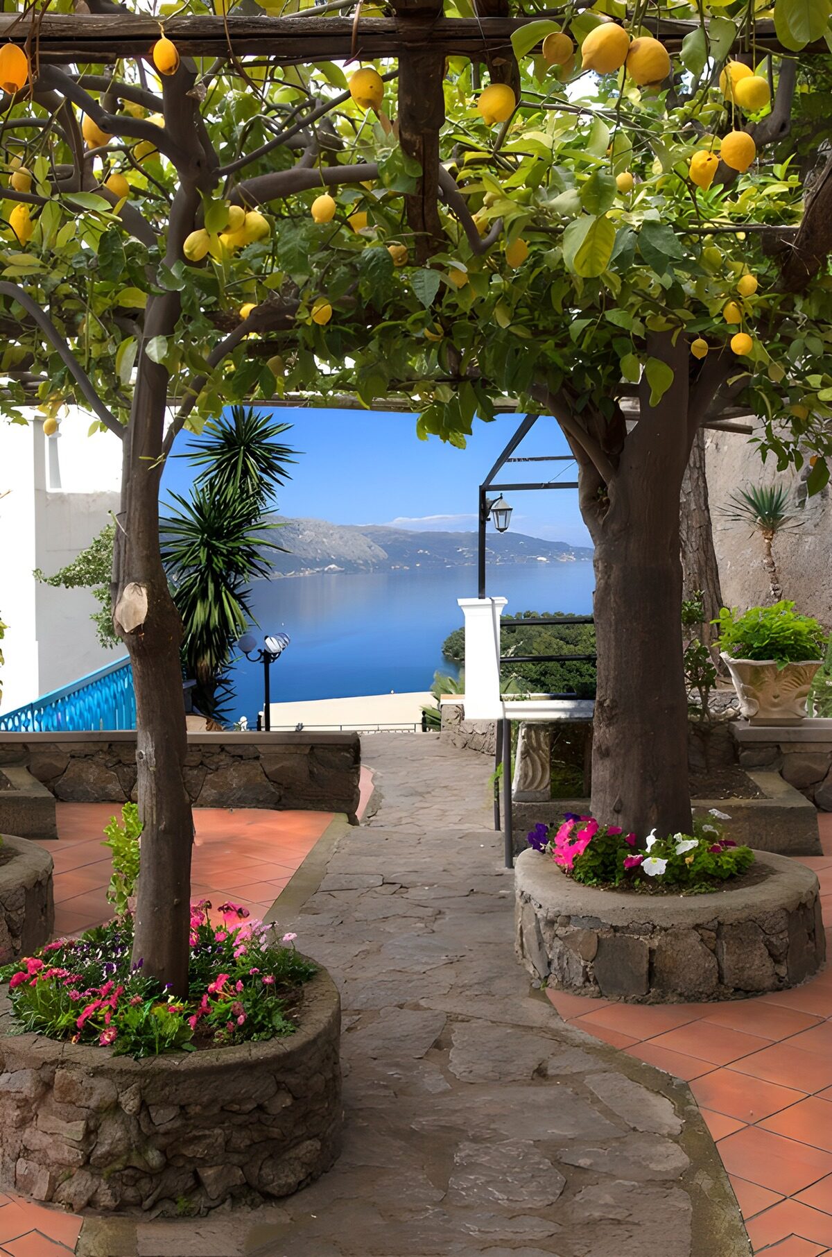 PDGIT4667349: Terrazza tra i limoni con vista sul mare