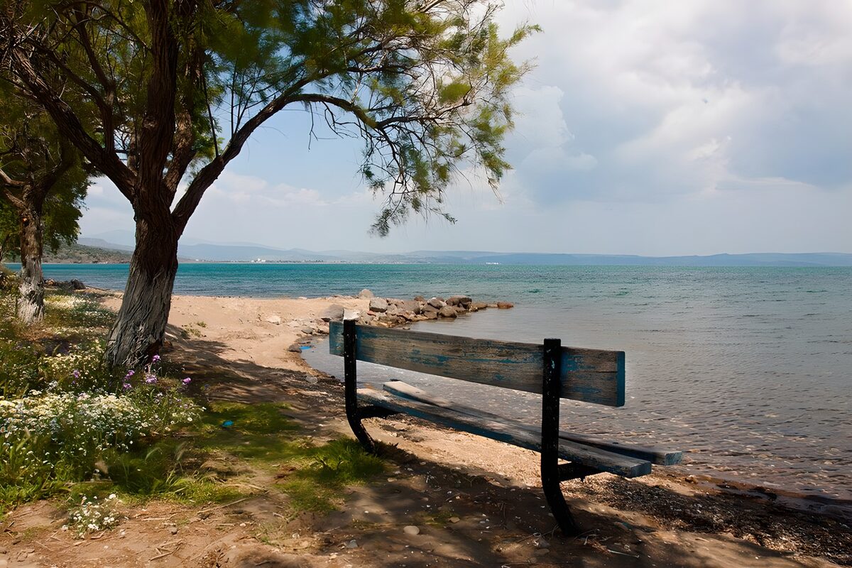 PDGIT5240339: Panchina all’ombra sul mare