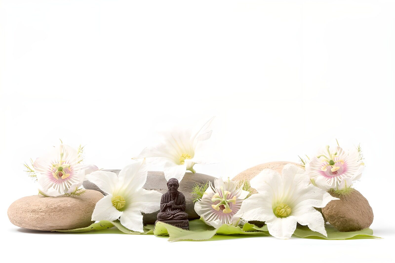PDGIT5330772: Buddha, fiori bianchi e pietre in quiete