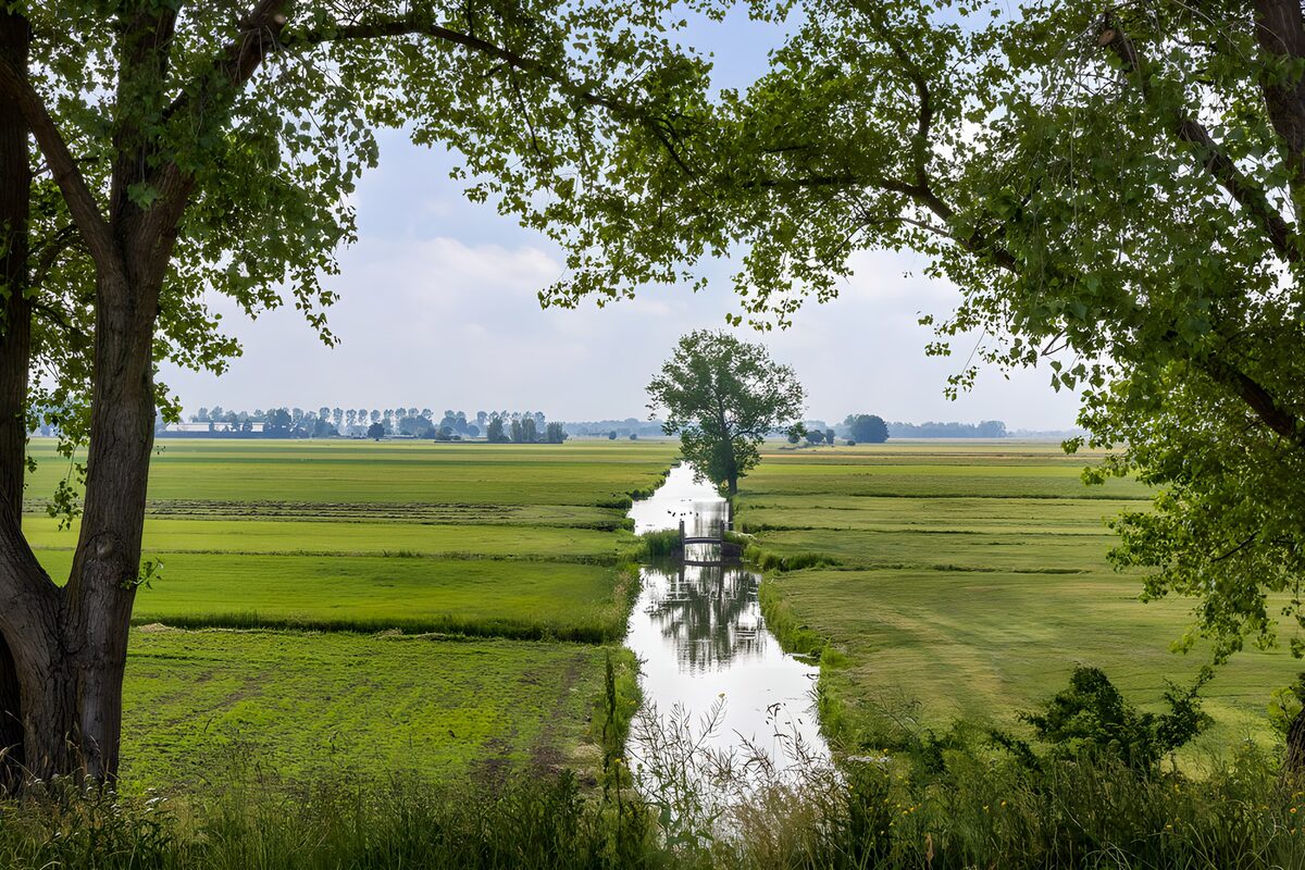 PDGIT2105806: Canale tra prati verdi e alberi