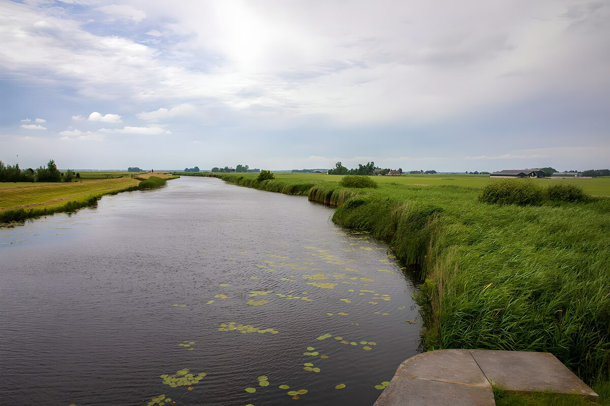 Canale tra prati e canneti