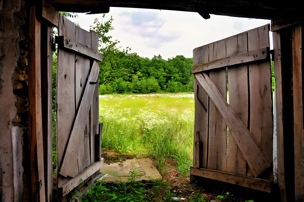 PDGIT9766481: Porta di legno aperta sul prato