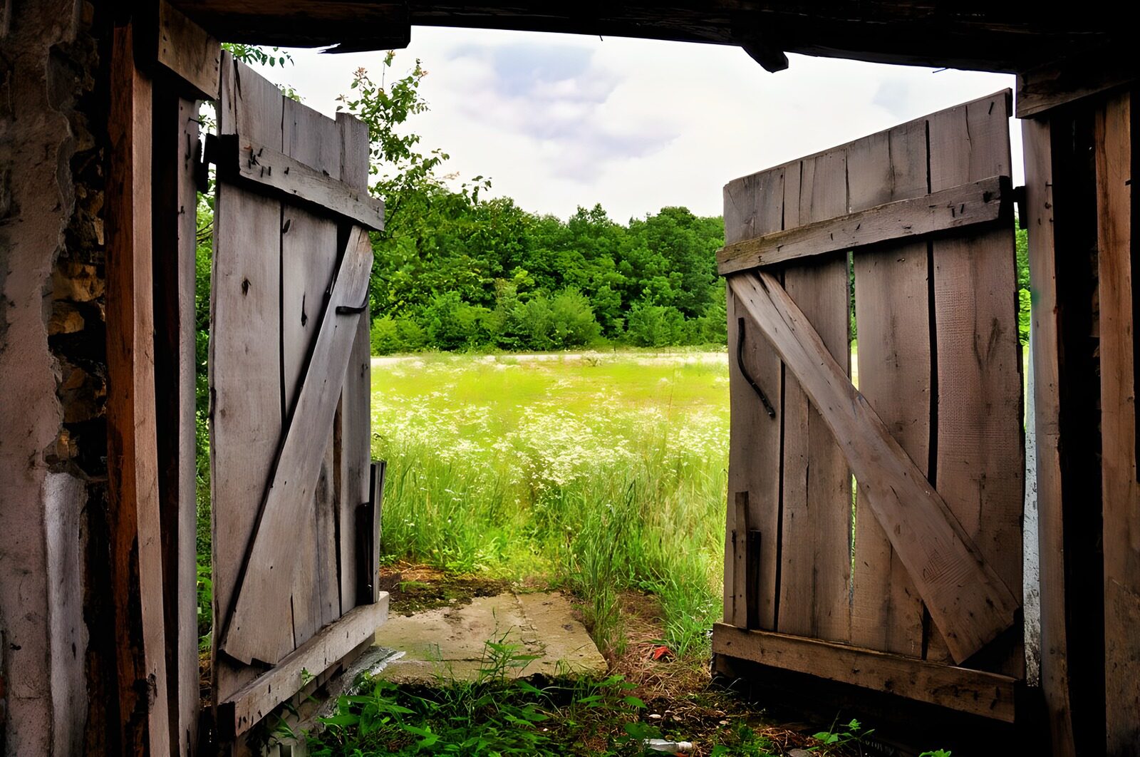 PDGIT9766481: Porta di legno aperta sul prato