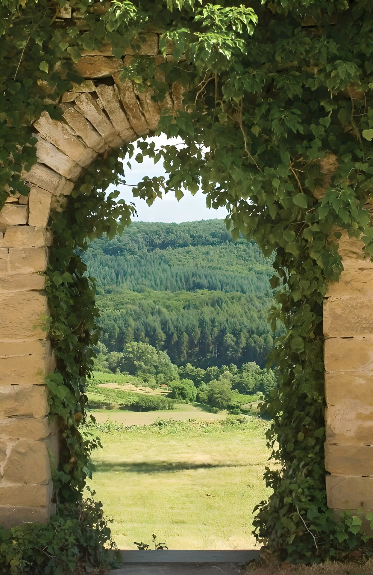 PDGIT2590514: Arco di pietra sul prato al sole