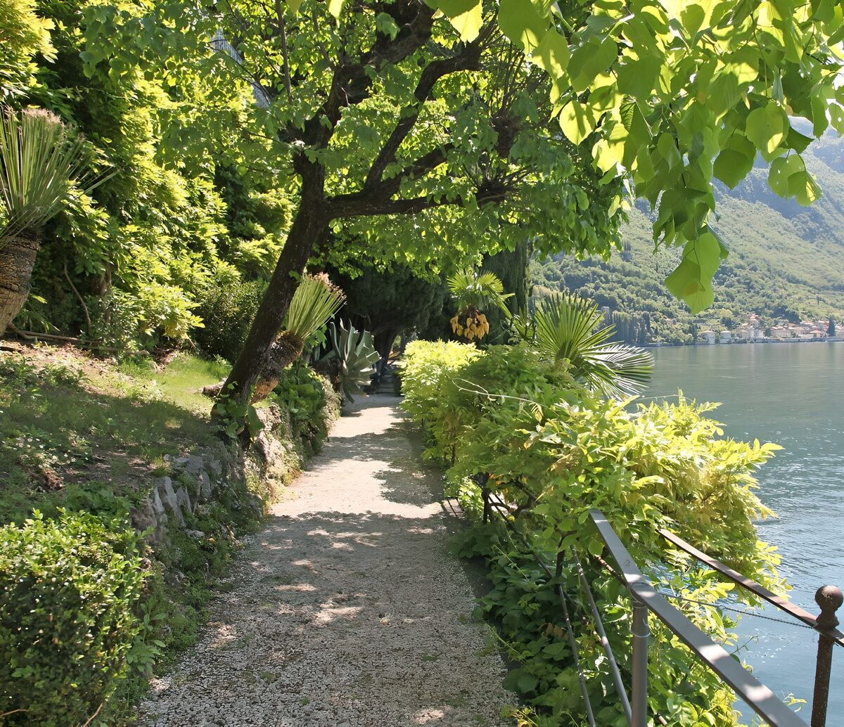 PDGIT9112676: Sentiero ombreggiato in riva al lago