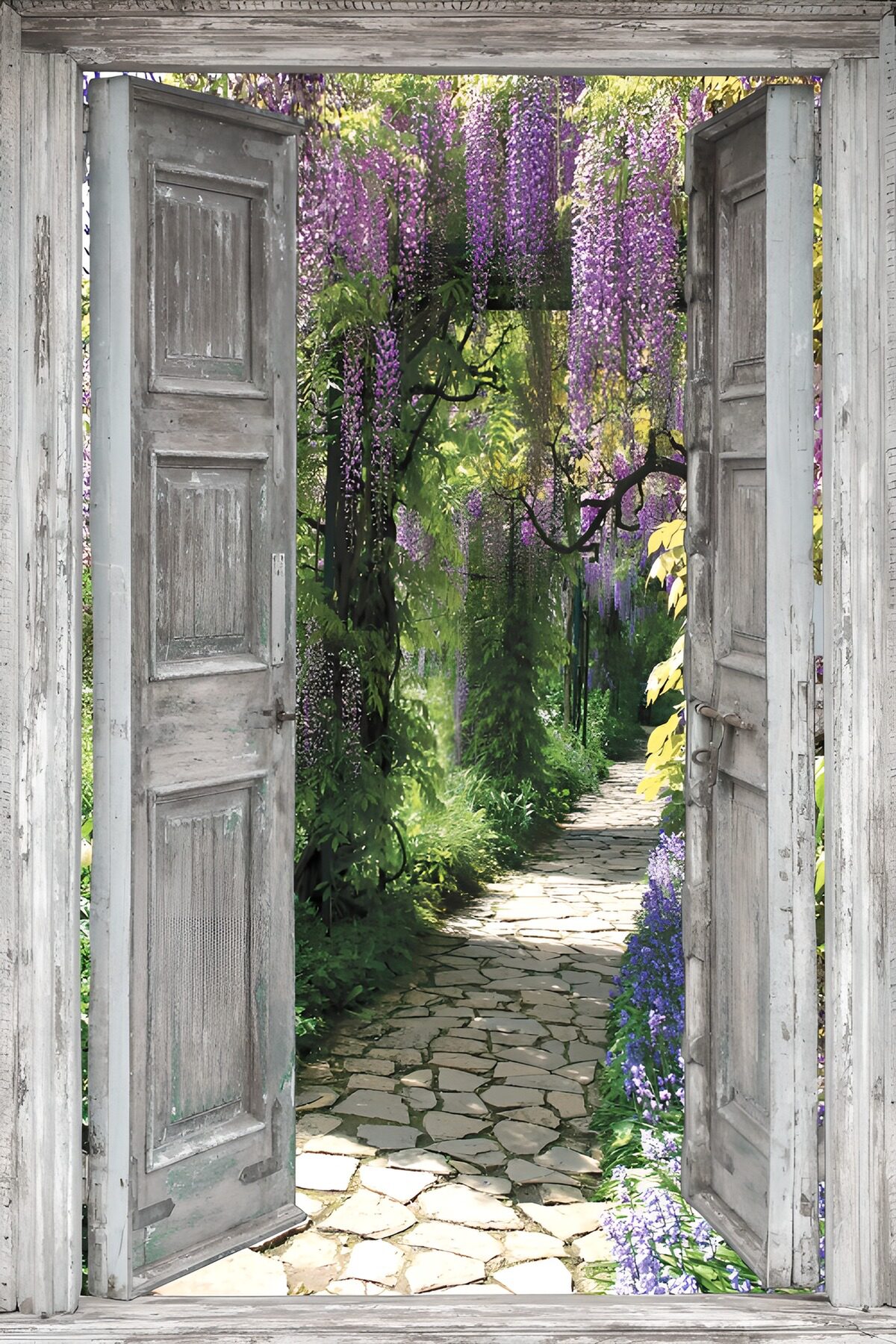 PDGIT9237293: Porte aperte sul giardino di glicini