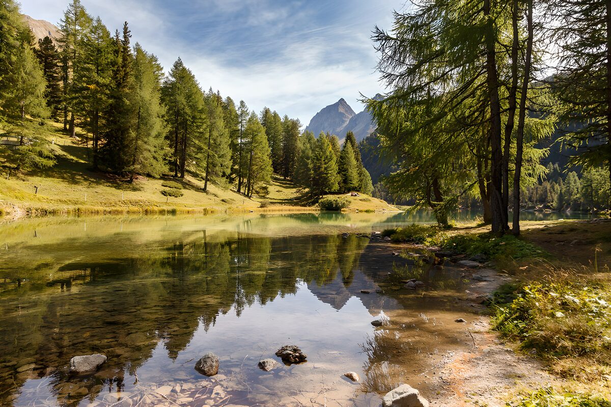 PDGIT6713441: Lago di montagna tra boschi e riflessi