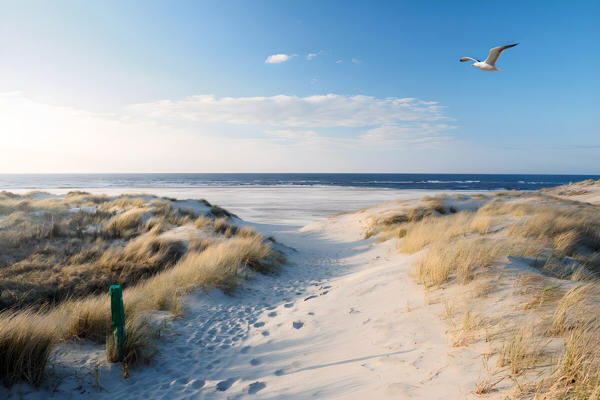PDGIT9198425: Tra dune dorate, il mare respira
