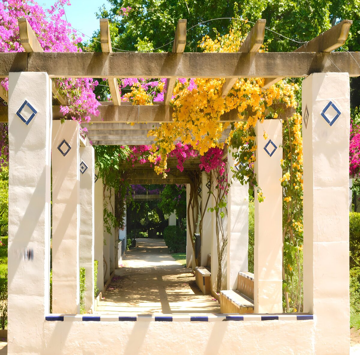 PDGIT9629617: Pergolato con fiori rosa e gialli