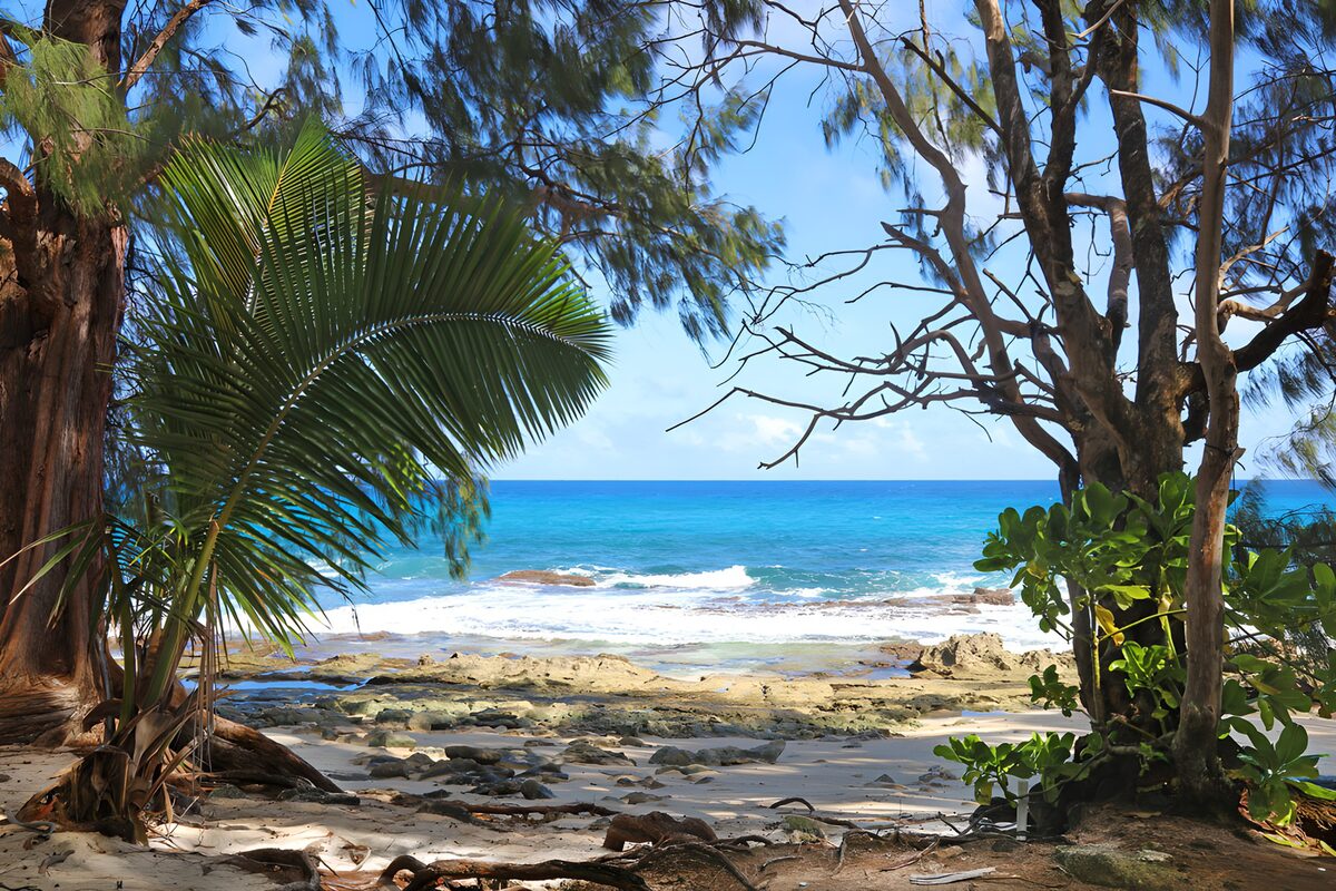 PDGIT5126694: Spiaggia tropicale tra palme e scogli