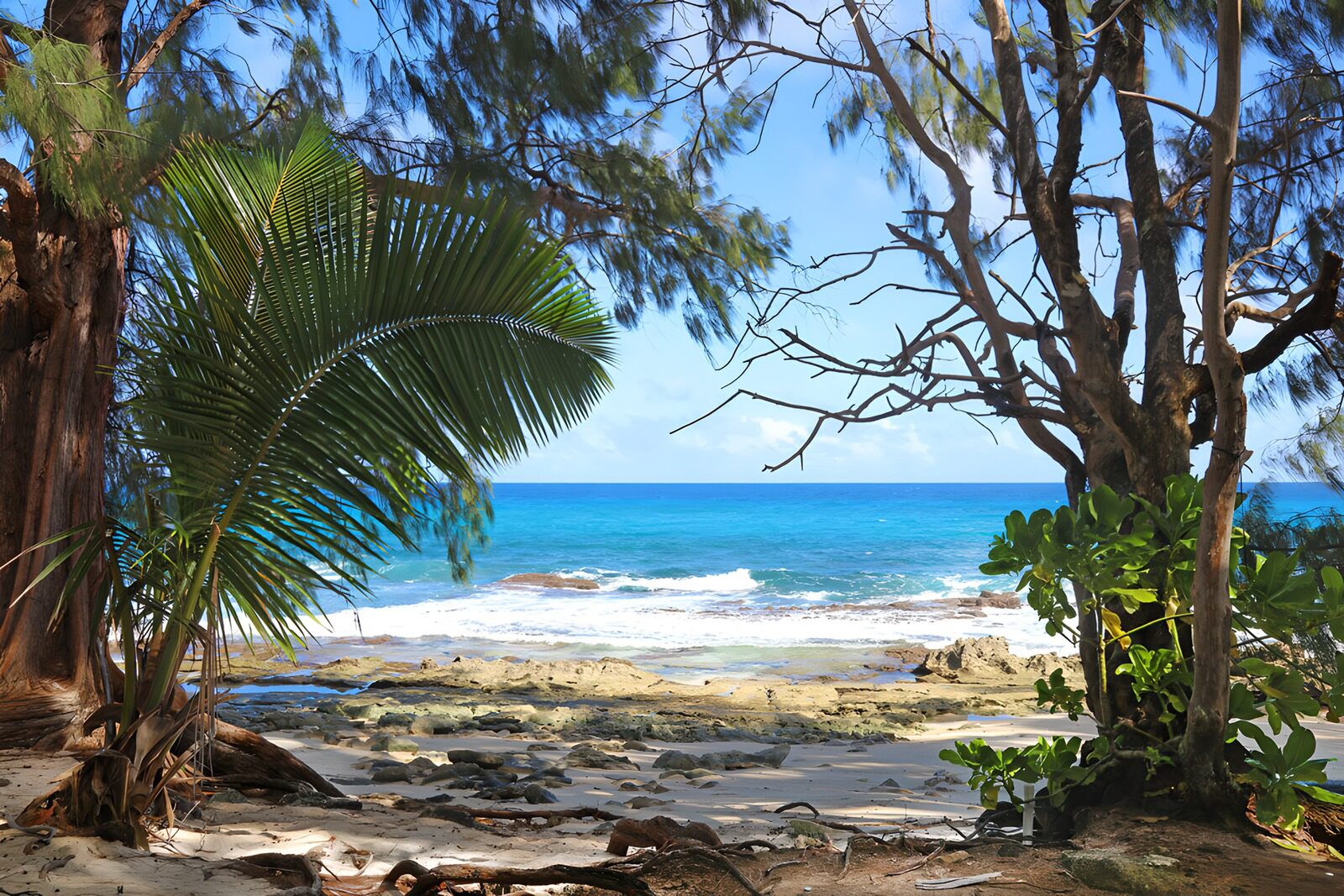 PDGIT5126694: Spiaggia tropicale tra palme e scogli