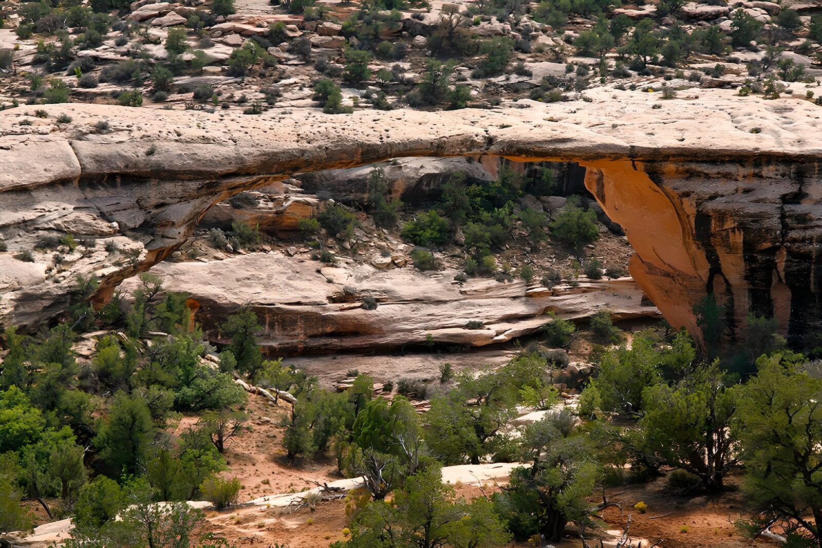 PDGIT6749660: Arco naturale tra rocce e arbusti