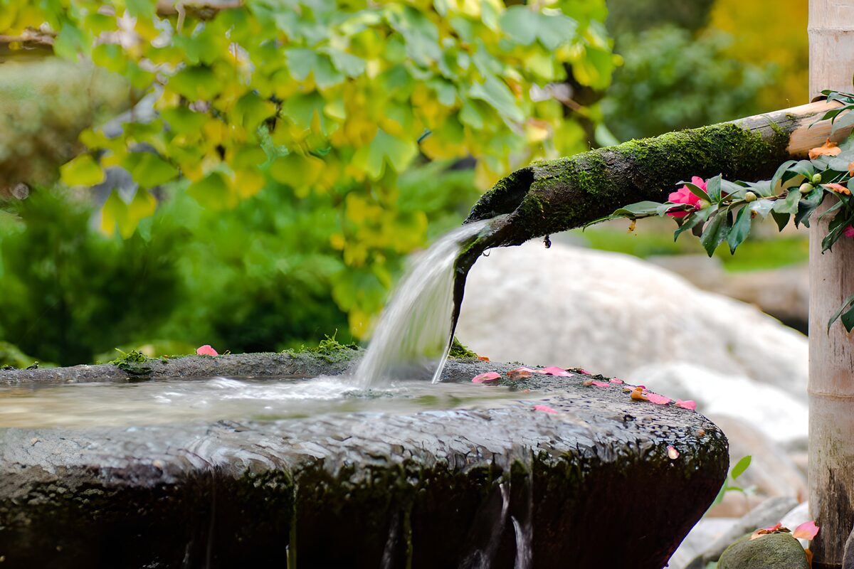 PDGIT8947750: Fontana in pietra tra muschio e fiori