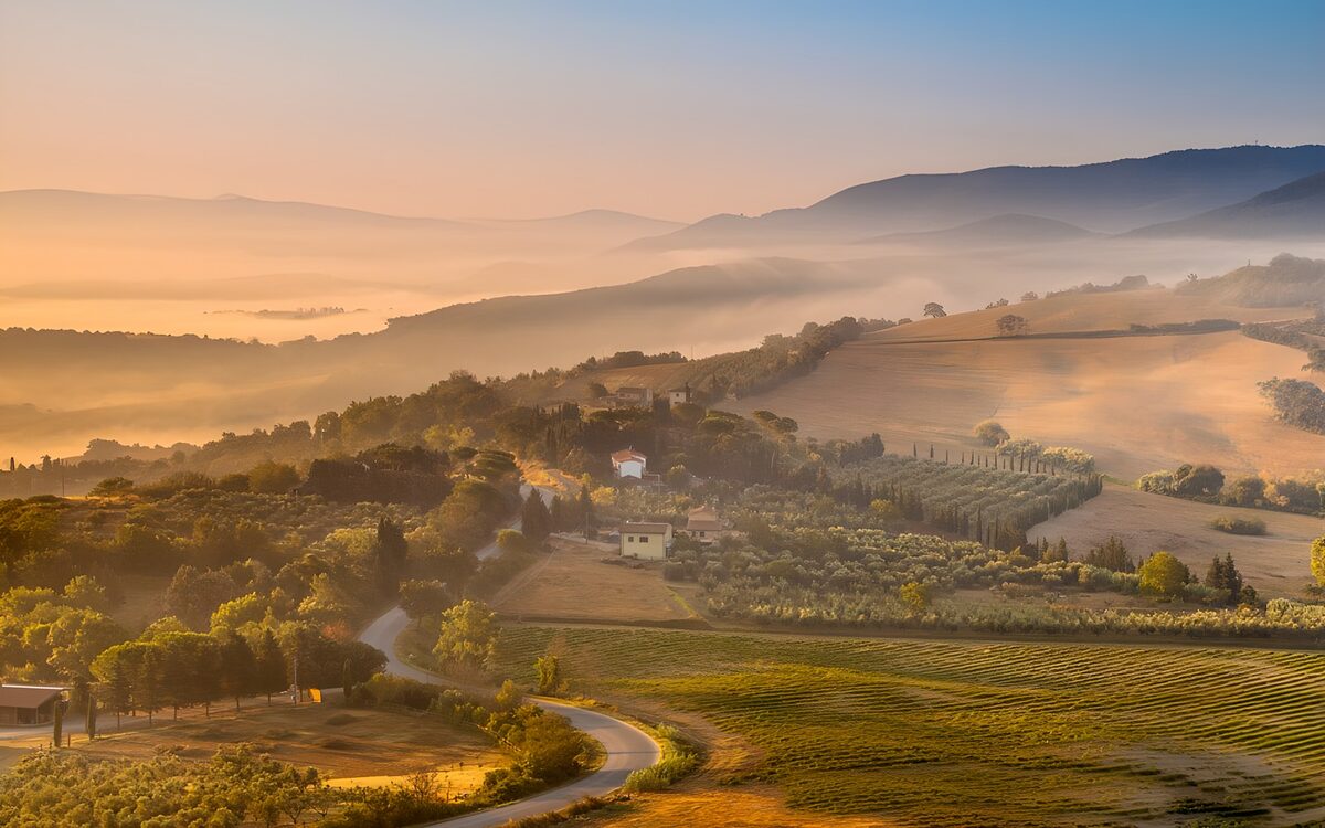 PDGIT8961873: Campagna collinare nella foschia dorata