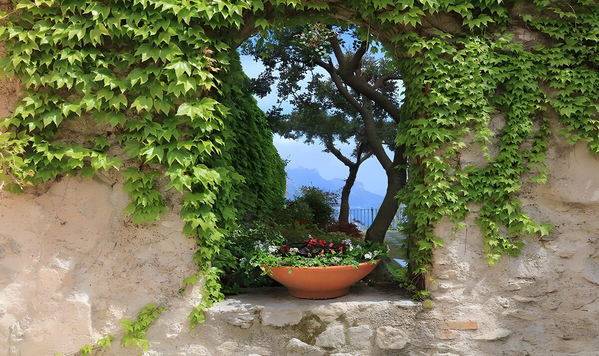 PDGIT5481789: Finestra di pietra su un giardino in ombra