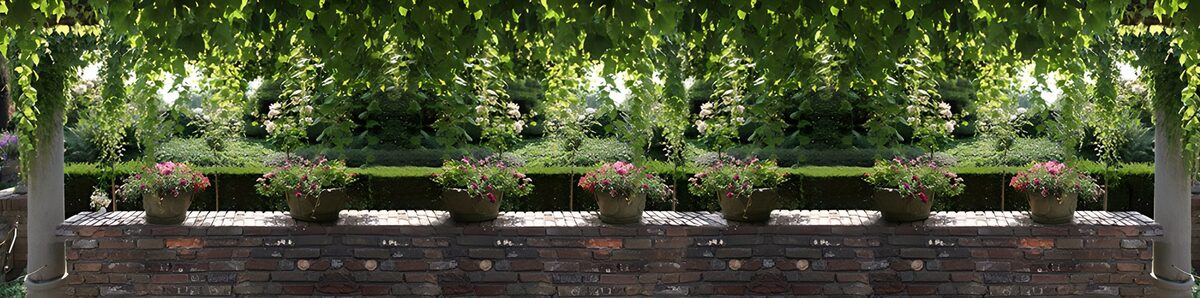 PDGIT2020015: Vasi in fiore sul muretto del giardino
