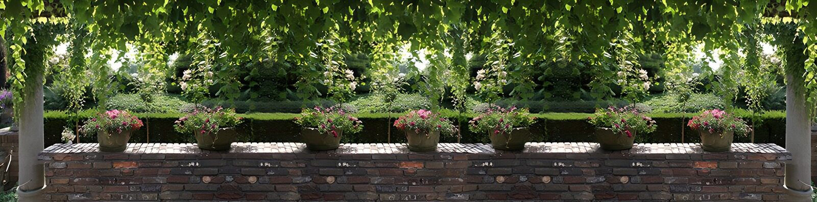 PDGIT2020015: Vasi in fiore sul muretto del giardino