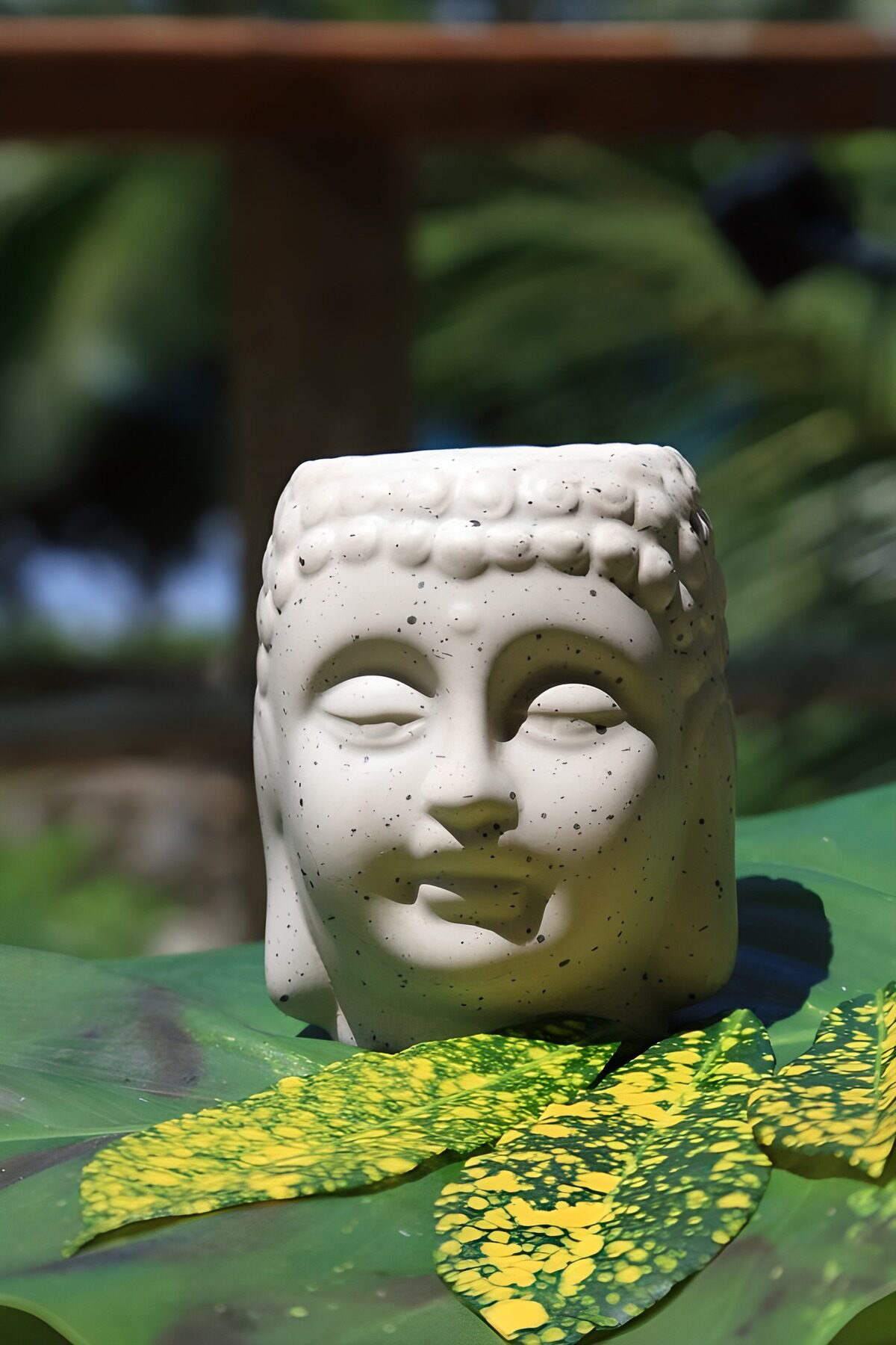 PDGIT9741510: Testa di Buddha su una grande foglia verde